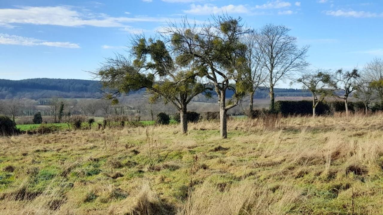 Gite Cottage Chaleureux En Pleine Campagne Vue Sur Les Monts Et Forets Et Le Chateau De Carrouges Εξωτερικό φωτογραφία