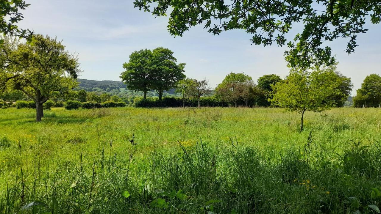 Gite Cottage Chaleureux En Pleine Campagne Vue Sur Les Monts Et Forets Et Le Chateau De Carrouges Εξωτερικό φωτογραφία